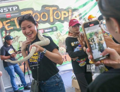 Pet Zootopia, Pencarian Wartawan Cilik di reruai NSTP jadi tarikan di KJH P Pinang