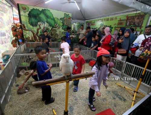 NSTP’s Pet Zootopia gets lively reception at Karnival Jom Heboh